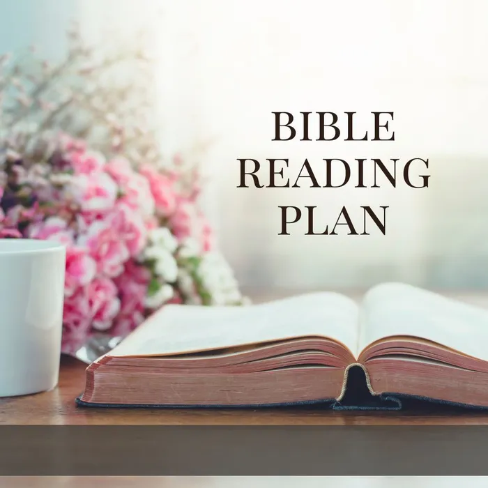 Bible Reading Plan